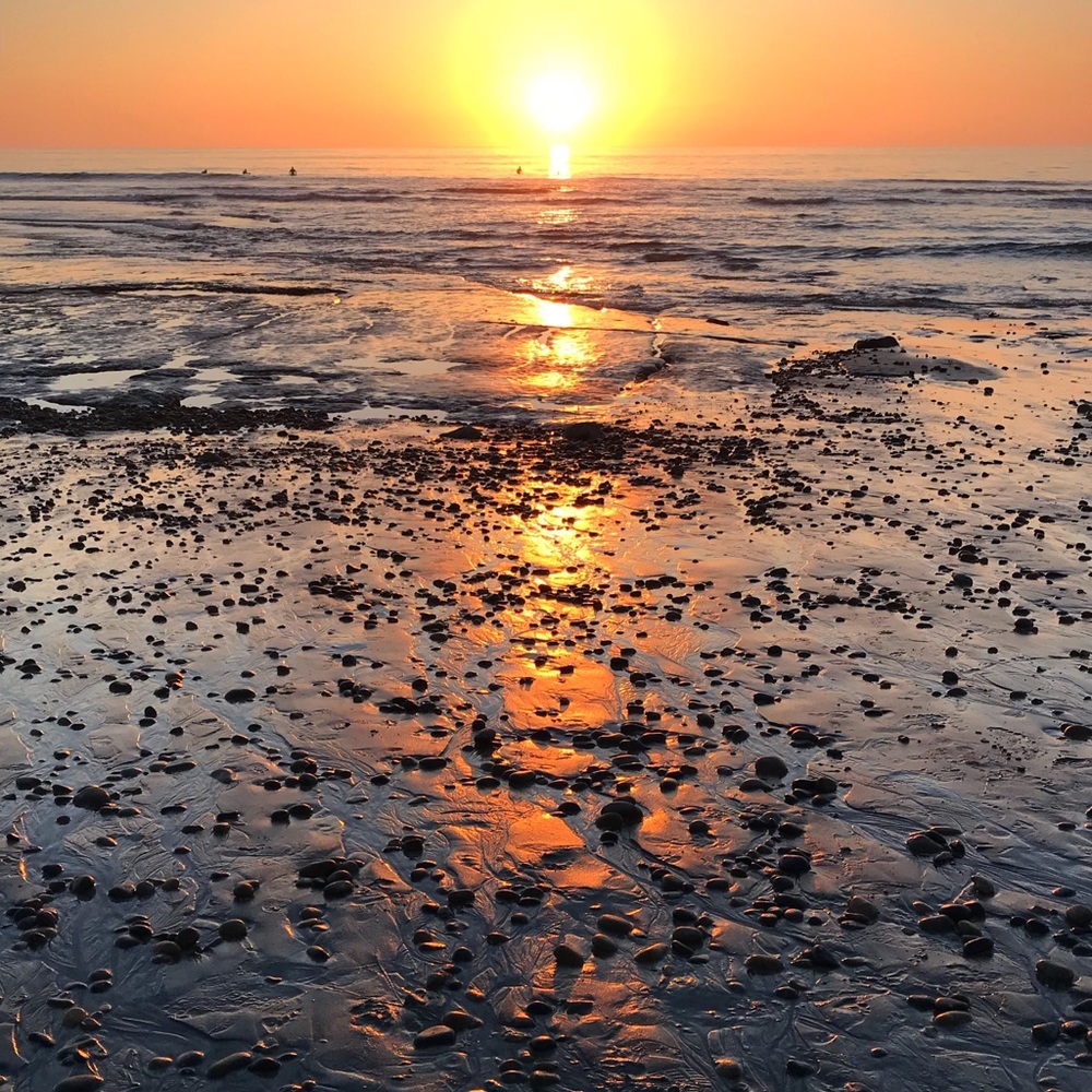 Meet your Posher, Nelly